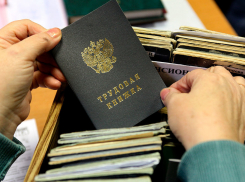  Электронные трудовые книжки появятся у новороссийцев
