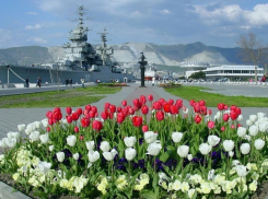 Новороссийцев ждёт солнечный, но свежий день
