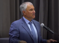 «Муниципальные предприятия ничего не решают»: Вячеслав Володин считает, что МУПам пора начать работать