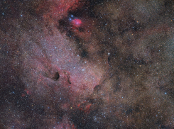 Гороскоп от “Блокнота” на 19 июля: Овнам стоит обратить внимание на окружение, а Рыбам — расслабиться