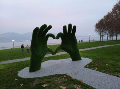 В Новороссийске отключили свет, газ и собираются стрелять