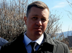 «Искали взрывные устройства». Замгубернатора объяснил, почему бульдозеры катались по краснокнижным растениям 