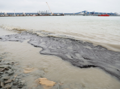 Учёные рассказали, что будет с Черноморским побережьем, когда мазут нагреется 