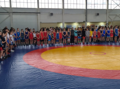 Золото, серебро и бронза- кто стал победителем на соревнованиях по вольной борьбе