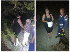 Мама ушла погулять в лес и не вернулась — в Новороссийске доберман помог найти женщину