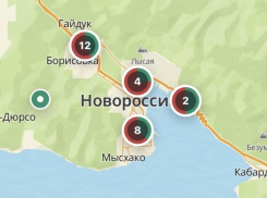 Бензина в Новороссийске нет. Совсем: АЗС заправляют только по топливным картам
