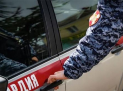Несколько бутылок алкоголя и спортивную одежду «умыкнул» из магазина новороссиец