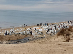 Кто будет платить «по счетам» за разлив мазута в Анапе 