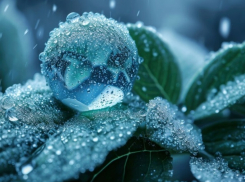 На Кубань пришли первые заморозки: чего ждать Новороссийску 