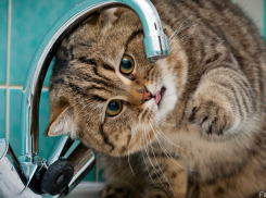 В Новороссийске ограничили подачу воды