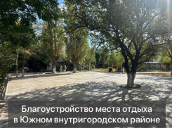Будет вам и «благо», и «устройство»: где и как в Новороссийске обустраивают зоны отдыха