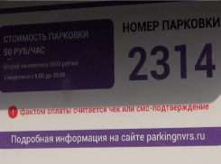 Новороссийцы могут снова нарваться на штрафы из-за новых паркоматов