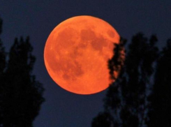 Кровавый свет зальет Новороссийск почти на два часа