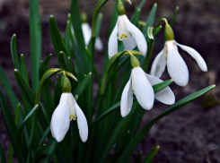 Погода в Новороссийске по-настоящему весенняя: солнечно, тепло и ветре но 
