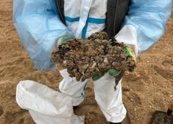 Вещество, вызывающее рак, ученые нашли на пляжах Анапы в результате разлива мазута