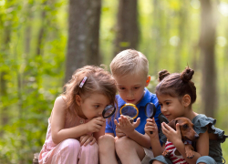 Новороссийцы смогут отправить ребенка в лагерь за маткапитал? — новое предложение в Госдуме