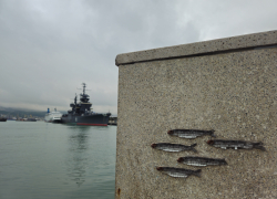 Погода в Новороссийске: температура воздуха снижается – холода возвращаются 