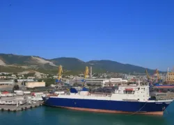 Морская империя: в Новороссийске разместят новый штаб объединенных портов
