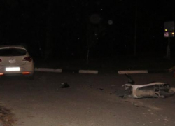 Водитель скутера без права управления госпитализирован в результате ДТП в Новороссийске