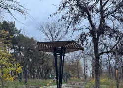 Новороссийск ностальгирует: жители вспомнили, каким раньше был парк Фрунзе