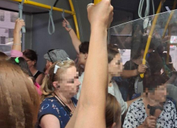 Как кильки в банке: маршрутка превратилась в квест для новороссийцев 