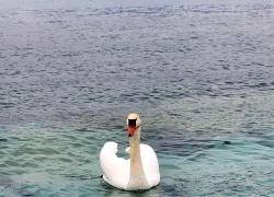  Интуиция - ваше все: звезды подскажут, как быть всем знакам зодиака