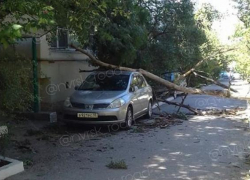 Норд-ост в Новороссийске принес первые "плоды"