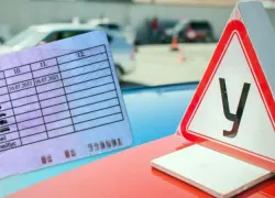 Учеба на права по-новому: что изменится для будущих водителей с 1 марта