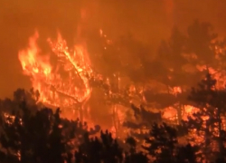 Огромный пожар охватил леса Новороссийска 