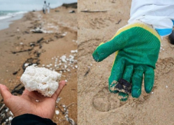Откуда на побережье Черного моря взялось пальмовое масло - предположения экспертов 