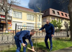 Пожар высадке деревьев не помеха: южане в шоке от того, что творится в Туапсе
