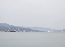 Контейнеровоз в Чёрном море затонул по пути из Турции в Новороссийск после атаки БПЛА 