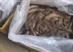  Бананы, похожие на кал: из этого делают выпечку для новороссийцев?