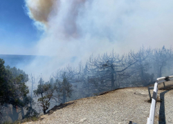 Горят дома и машины: в Новороссийске продолжается борьба с мощным лесным пожаром 