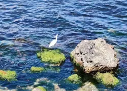 У Водолеев хороший шанс заявить о себе, а у Козерогов – встретить любовь