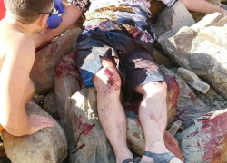 В Новороссийске с двадцатиметровой скалы сорвался мужчина