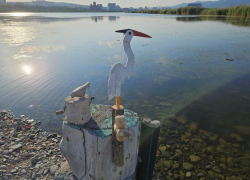 На территории Суджукской лагуны снесут вышки