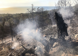 Три возгорания за сутки: в Новороссийске сохраняется высокая пожароопасность