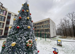 Новый год встречает нас морозом: погода в Новороссийске