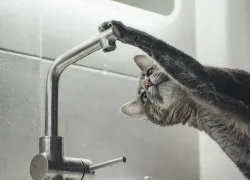 Пополняйте запасы: в среду Новороссийск останется без воды 