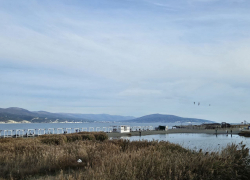 Гороскоп от «Блокнота»: Тельцы и Стрельцы добьются желаемого, а у Рыб романтика 