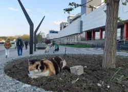 Май месяц потребовал от Новороссийцев утеплиться