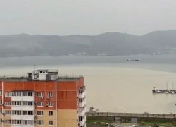 "В море лучше не купаться!": новороссийцы заметили странное 