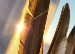 Рыбам не стоит брать в долг, а Раков ждет новая любовь: как сложится этот день у знаков зодиака