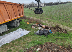 Стихийные свалки убивают: сотрудник мусороуборочной компании погиб под Новороссийском