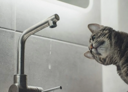 Без воды, тепла и света начался день у некоторых новороссийцев