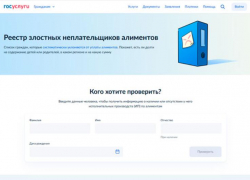 На Госуслугах появился реестр злостных неплательщиков алиментов 