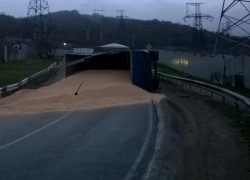 Развалившийся хомяк перекрыл дорогу под Новороссийском 