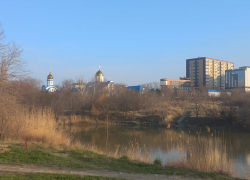 Проект реконструкции Южных прудов оказался под угрозой срыва 