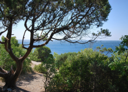 Новороссийск передал почти 700 га земли Кубанскому заповеднику «Утриш» 